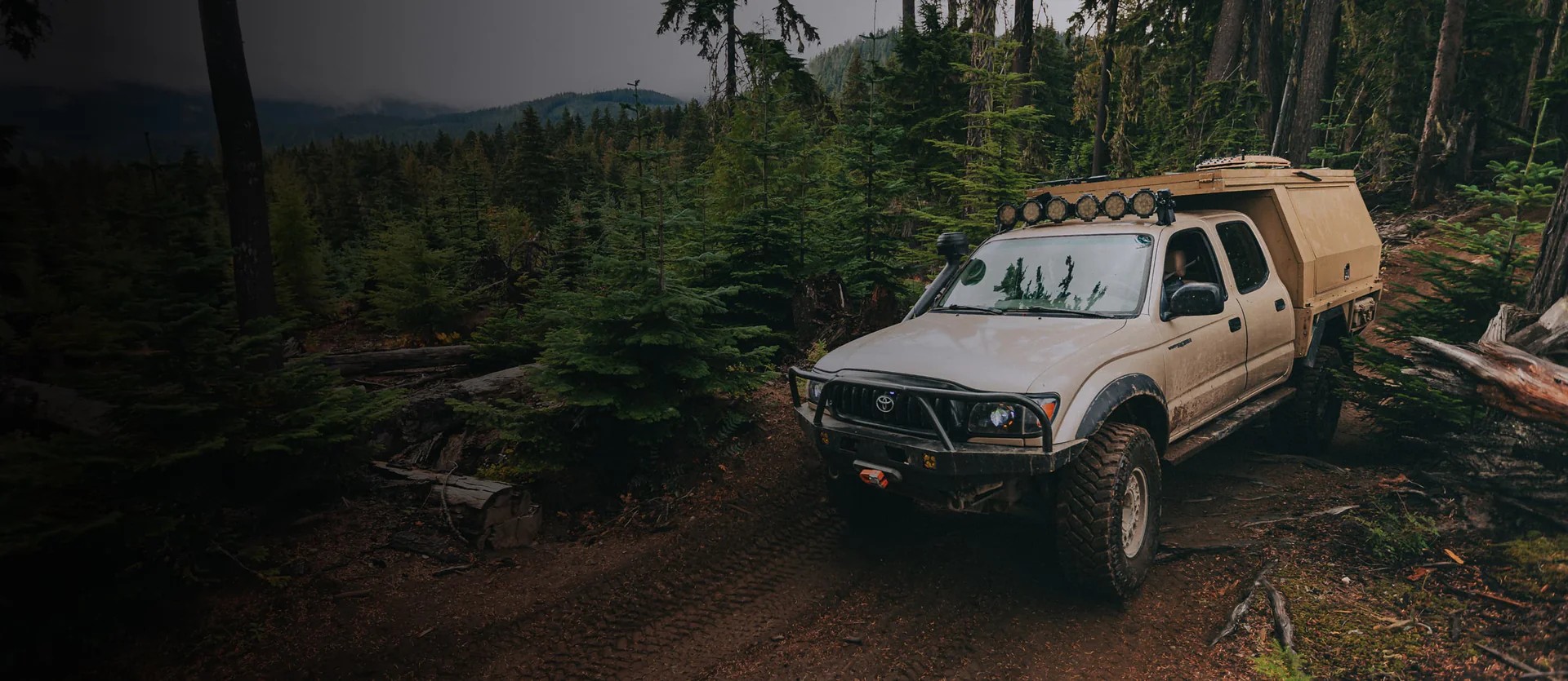 Welcome to Our Store